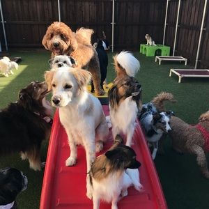 Meet your Posher, Caroline